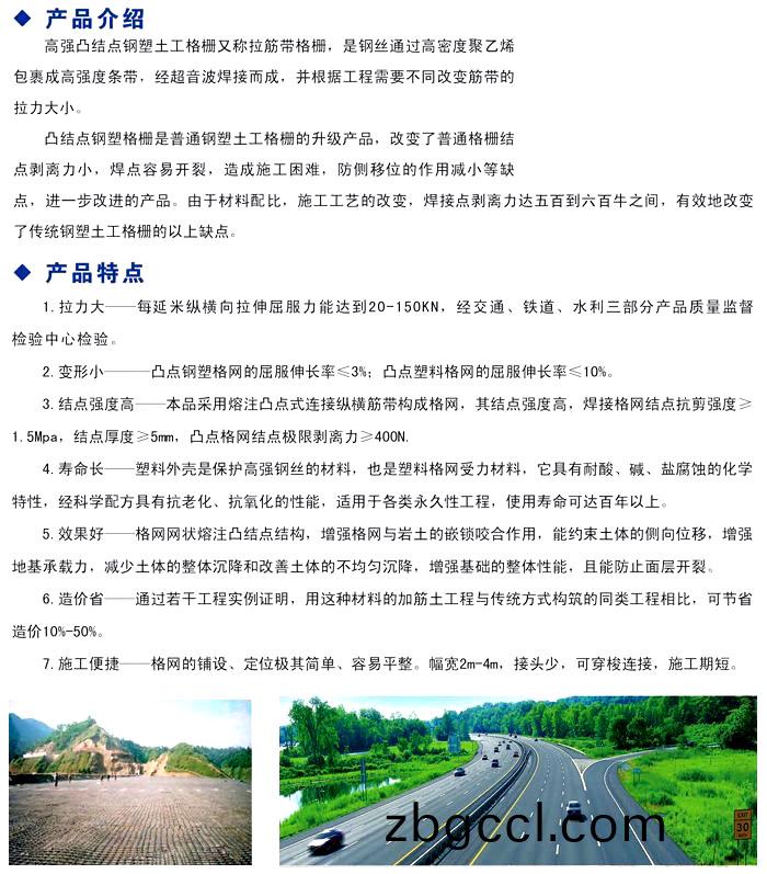 高(gao)強(qiang)凸(tu)結(jie)點鋼(gang)塑(su)土工格柵(shan)
