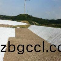 <img src=upfile/images/2018/07/17/small3_15317915645356321.jpg height=300>